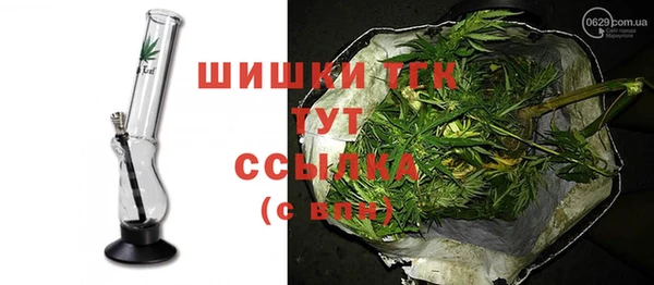 прущие грибы Горнозаводск