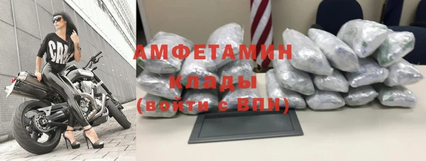 прущие грибы Бугульма