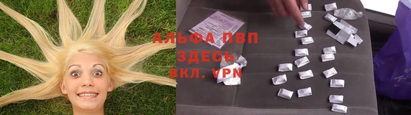 прущие грибы Бугульма