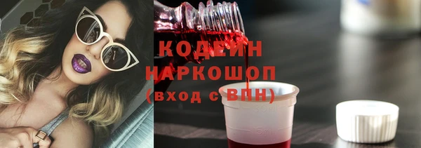 скорость Бородино