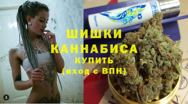 сатива Сатка