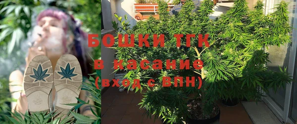 стафф Верхний Тагил