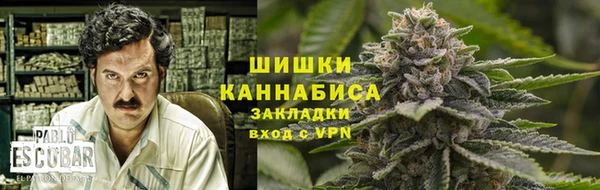прущие грибы Бугульма