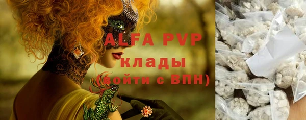 ПСИЛОЦИБИНОВЫЕ ГРИБЫ Горно-Алтайск