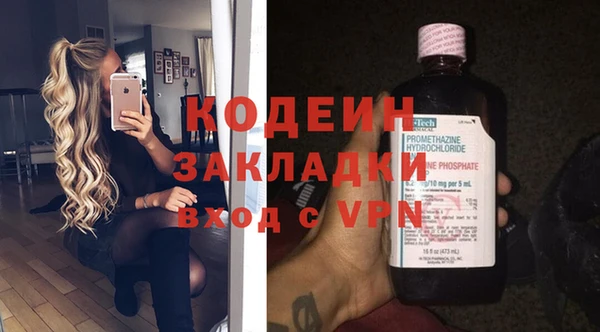 индика Жердевка