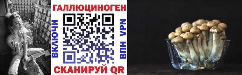 Псилоцибиновые грибы Psilocybe Рузаевка